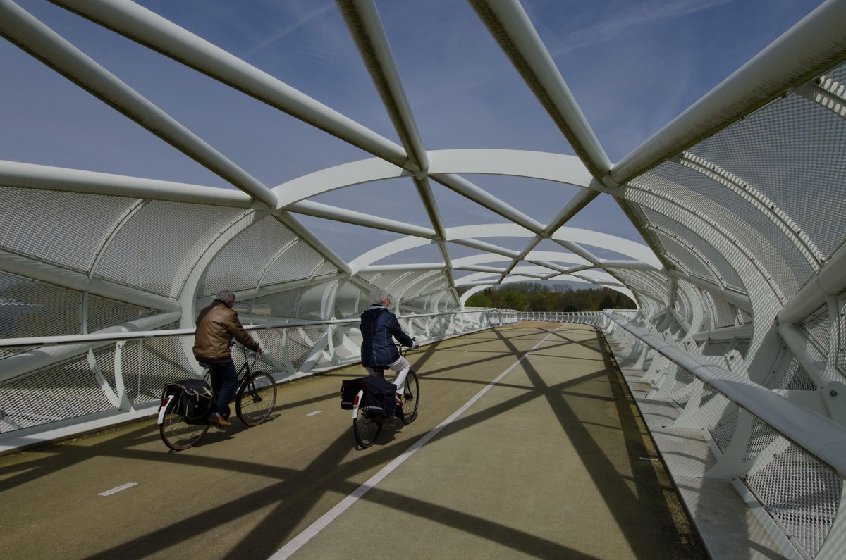 rotterdam's tweet photo. De ‘Netkous’ krijgt nieuwe ledverlichting.💡Een bijzondere klus, want de verlichting van de fiets- en wandelbrug over de A15 zit verwerkt in de leuning en bestaat uit 875 armaturen.
De brug blijft de komende weken gewoon begaanbaar.
Lees meer: https://t.co/DCZWYaNqLW https://t.co/9ekKa6tT3a