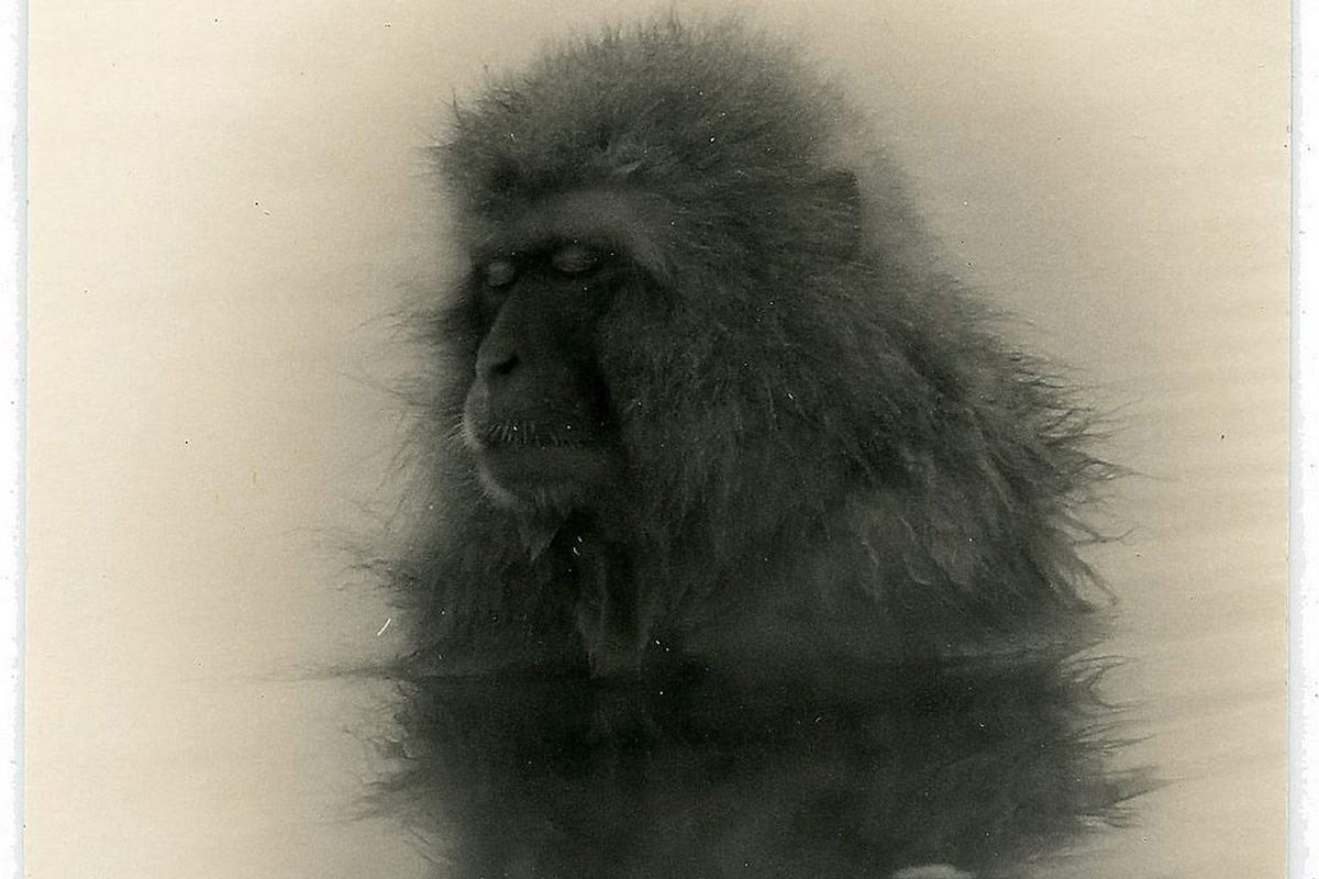 gushmg's tweet image. Yamamoto Masao