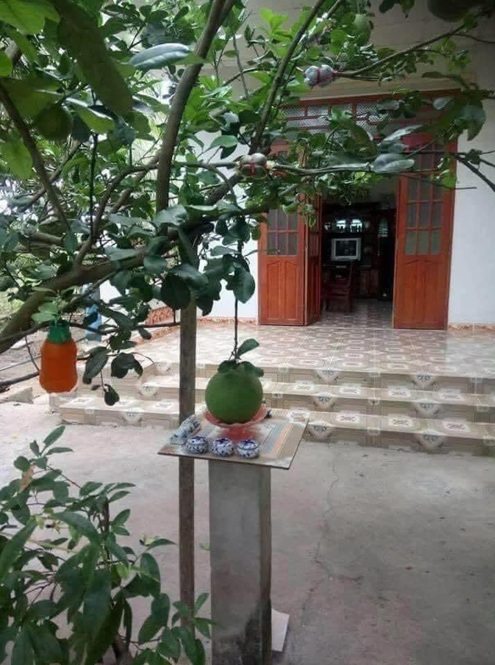 Có một kiểu là sinh ra đã ở vạch đích 😂😂