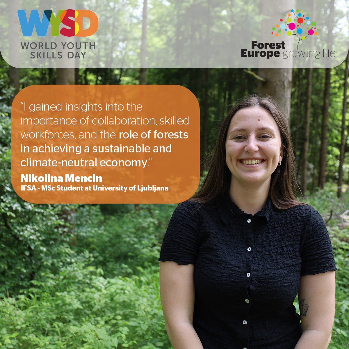 FOREST EUROPE tweet media