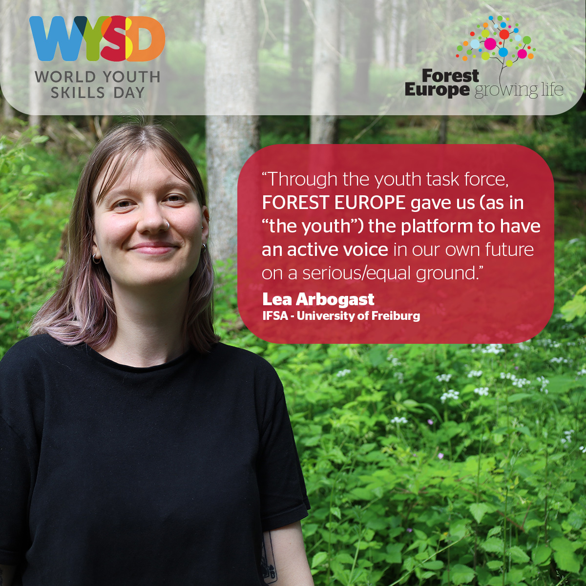 FOREST EUROPE tweet media