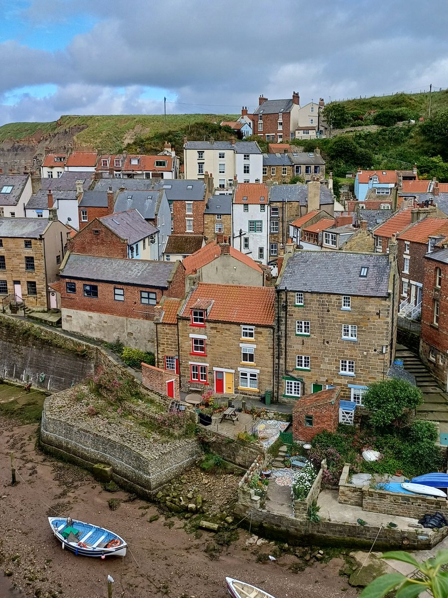 Susan Guy tweet media