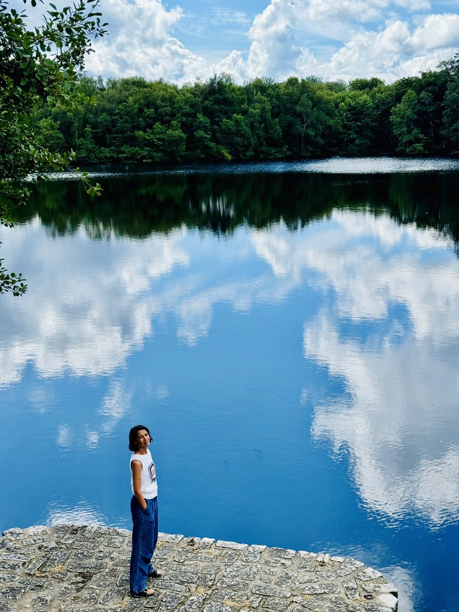 sophia aram tweet media