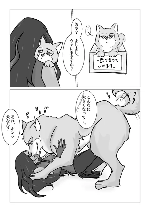 非凡な捨て犬🌳と🔝 