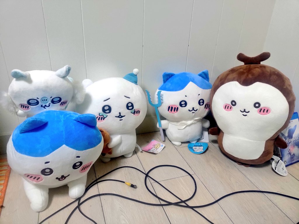 6H05T2's tweet photo. 上司ィと上司ィのお母さんがちいカブくれた( * ॑꒳ ॑*)
ちいかわコーナーが充実していく https://t.co/gm3qncRKOJ