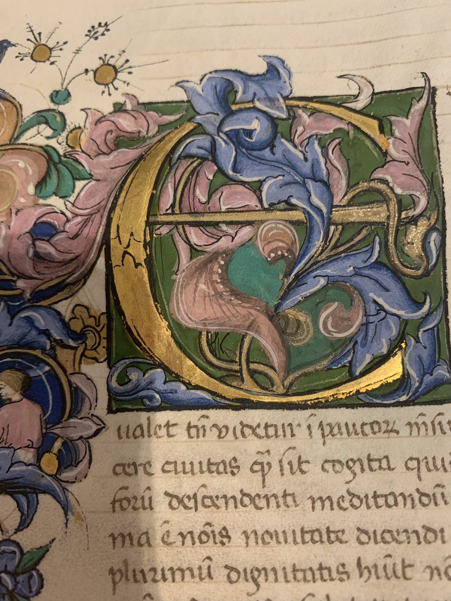 Some beautiful manuscripts on view in Dubrovnik’s Dominican Monastery including this fine copy of selected Cicero speeches: