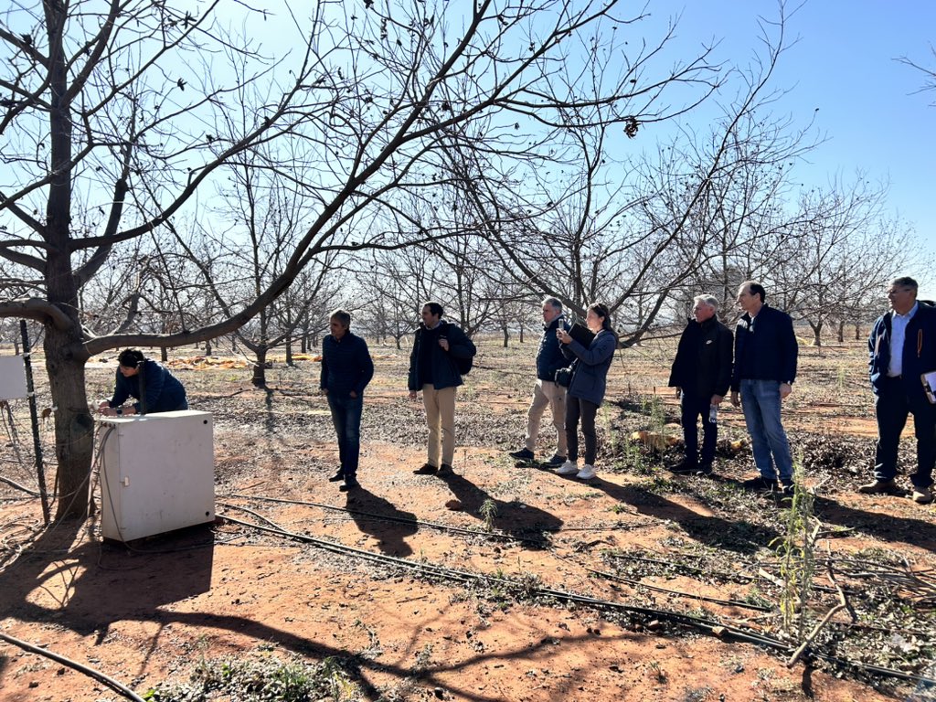 ClusterdelPecan's tweet photo. Estamos en Sudáfrica en una Misión Técnica c/el objetivo de conocer aspectos técnicos, productivos, y comerciales del sector pecanero 🇿🇦, intercambiar conocimientos c/los principales actores de la industria y fortalecer el vínculo entre las asociaciones pecaneras de ambos países https://t.co/nK9EFudO50