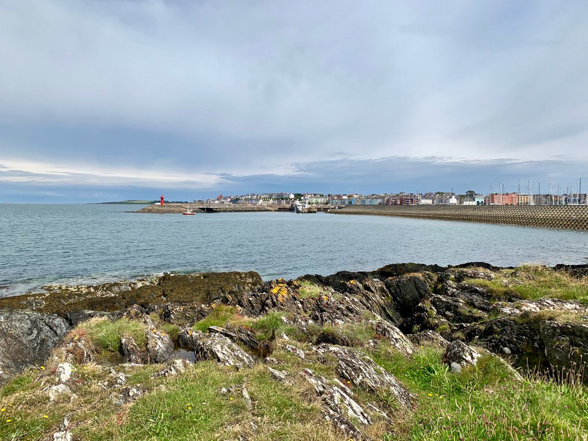LACrawshaw's tweet photo. Lovely day for a  litter pick amongst the rocky outcrops from Pickie Breakwater to just past Skippingstone Beach on the coastal path.  2 bags - 140 items inc. 23 bottlecaps, 12 bottles, 6 cans, 3 disposable vapes,  &amp; 1 tampon applicator.  #LiveHereLoveHere #StopThePlasticTide https://t.co/eONv06JYQv