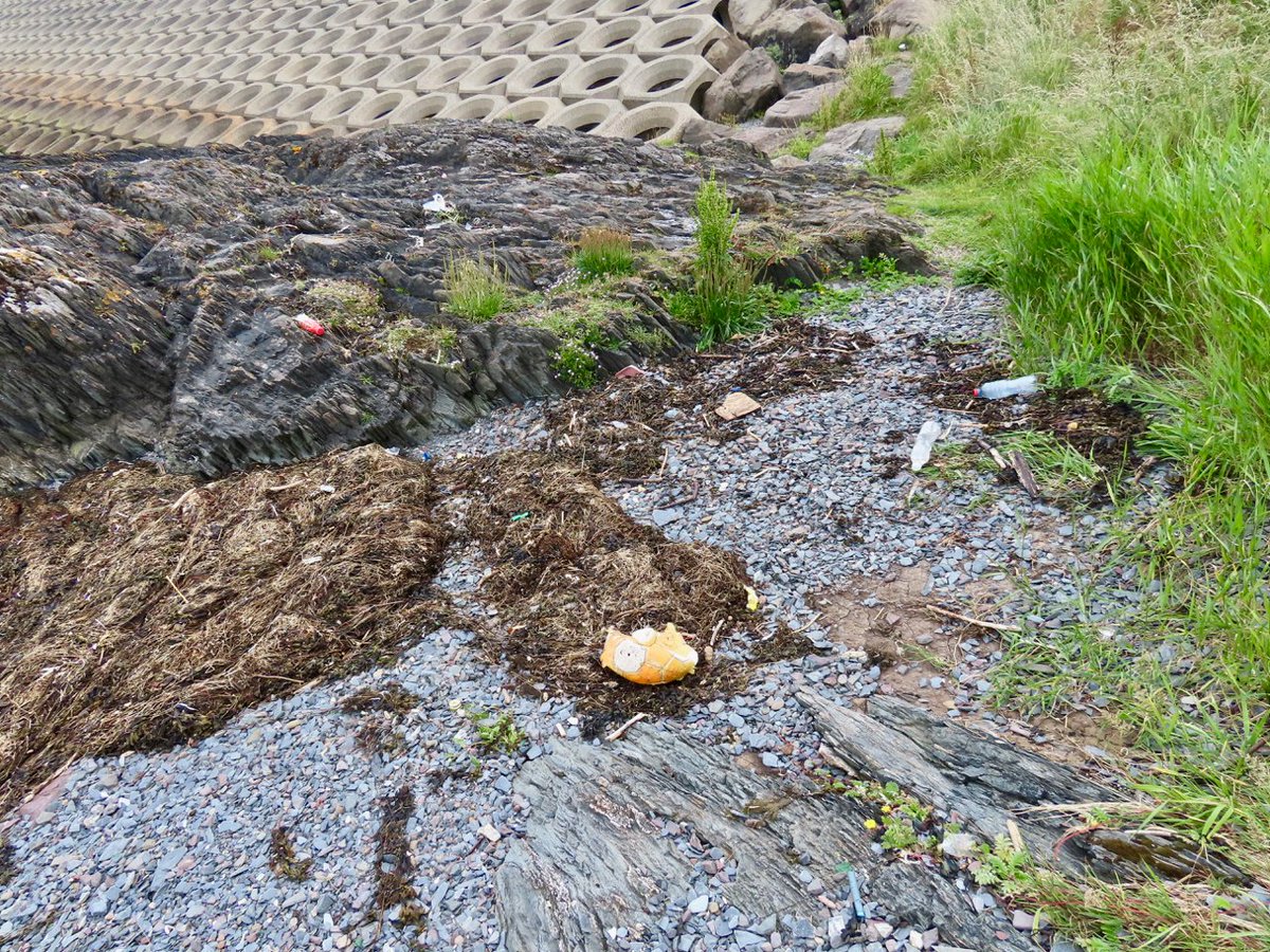 LACrawshaw's tweet photo. Lovely day for a  litter pick amongst the rocky outcrops from Pickie Breakwater to just past Skippingstone Beach on the coastal path.  2 bags - 140 items inc. 23 bottlecaps, 12 bottles, 6 cans, 3 disposable vapes,  &amp; 1 tampon applicator.  #LiveHereLoveHere #StopThePlasticTide https://t.co/eONv06JYQv