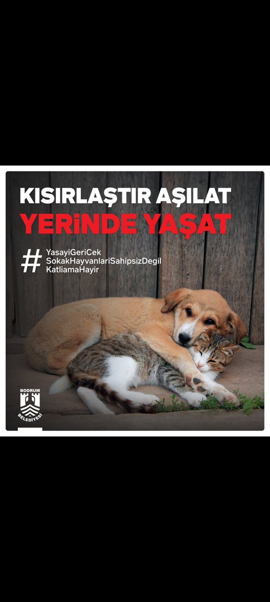 emel_yzc's tweet photo. #YasayıGeriÇek https://t.co/zjfMYPte0Z