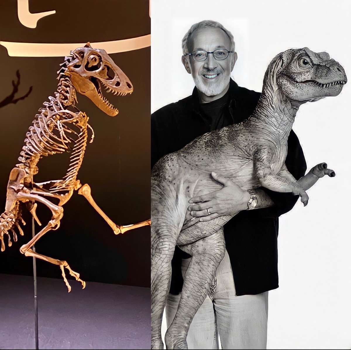 thejurassicmag's tweet photo. Jurassic Forever: Baby T.Rex

#JurassicWorldDominion #dinosaurs #paleoart #jurassic #animals #nature #dino #dinosaur #fossil #paleontology #paleontologist #jurassicpark #jurassicworld #TyrannosaurusRex #Trex #Rex #Theropod #StanWinston #StanWinstonSchool #thelostworld 

🦖❤️🦕 https://t.co/oMtOmEZMa1