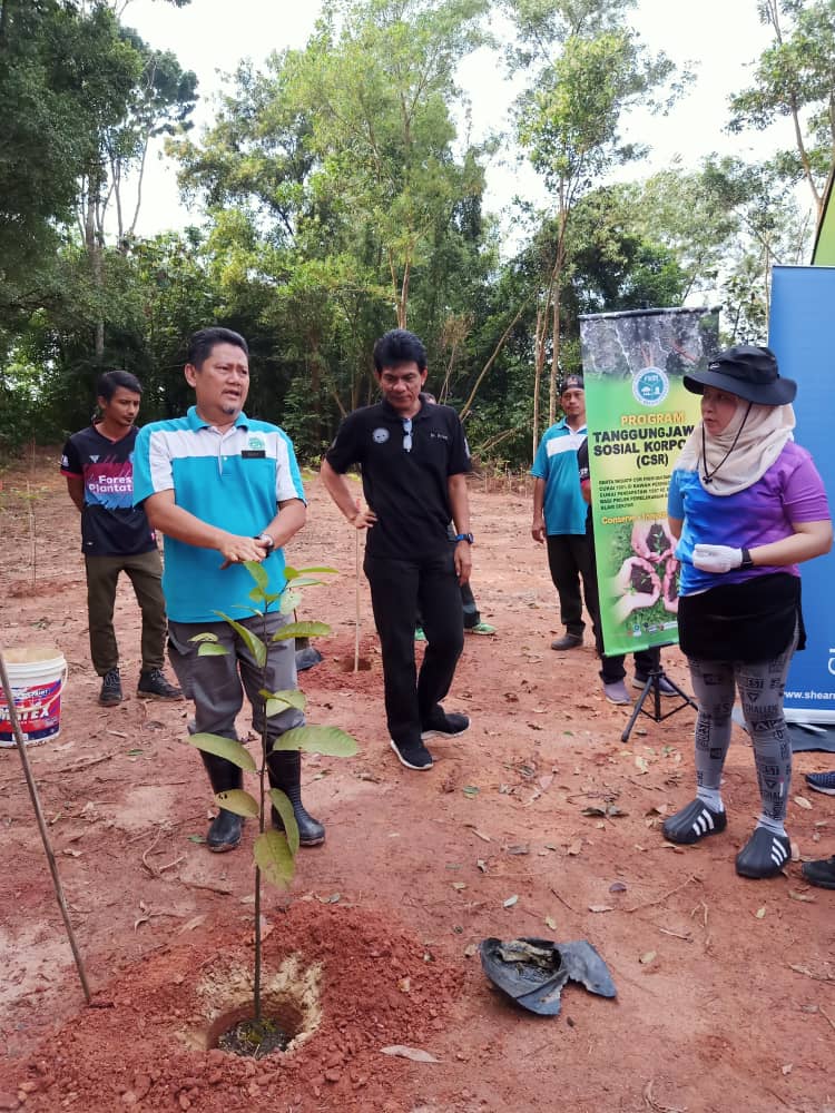 FRIMKepong's tweet photo. 16 warga dan ahli keluarga Shearn Delamore tanam 20 pokok meranti temak nipis (𝘈𝘯𝘵𝘩𝘰𝘴𝘩𝘰𝘳𝘦𝘢 𝘳𝘰𝘹𝘣𝘶𝘳𝘨𝘩𝘪𝘪) di @FRIMKepong sbg aktiviti CSR syarikat &amp; memberi sokongan kepada @100jutapokok 

#PokokKitaKehidupanKita #OurTreesOurLife #100JutaPokok #CSR_FRIM https://t.co/7EYbdxsQAj