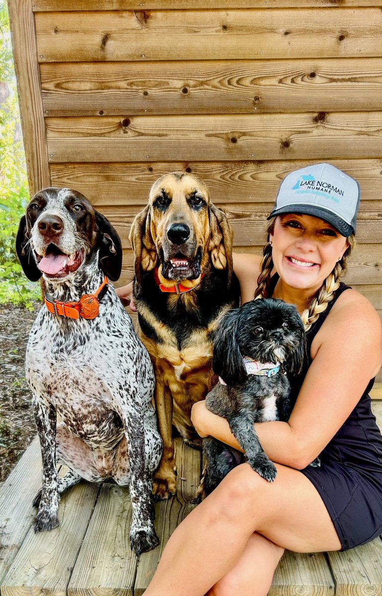 Lake Norman Humane tweet media