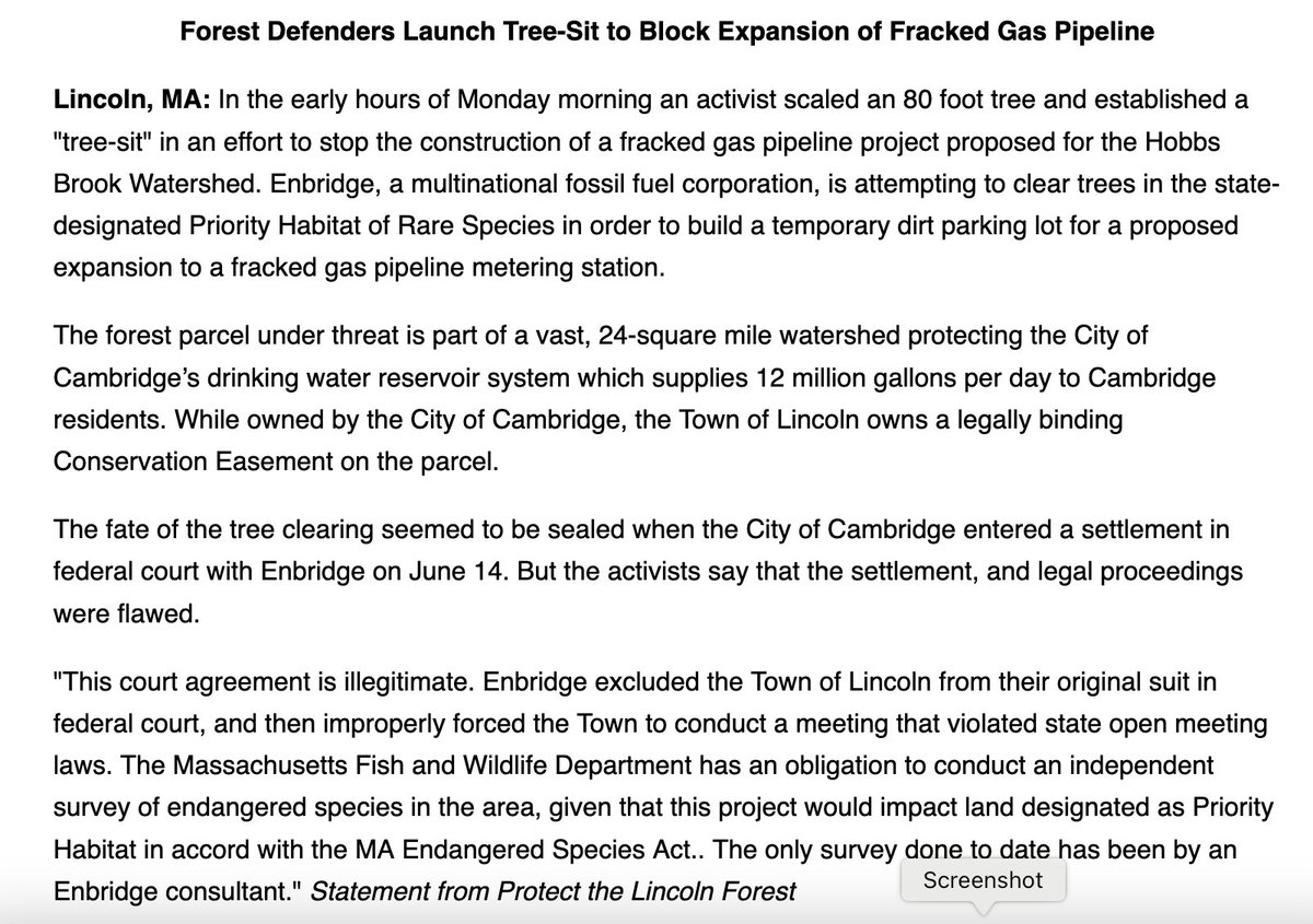 EndProjectMaple's tweet photo. Press release announcing a tree-sit that's blocking construction of a fracked gas pipeline expansion in Lincoln, Massachusetts. 

@universalhub, @NBC10Boston, @WGBH, @WCVB, @7News, @boston25, @WBUR, @GBHNews https://t.co/fjg2lCcdvV