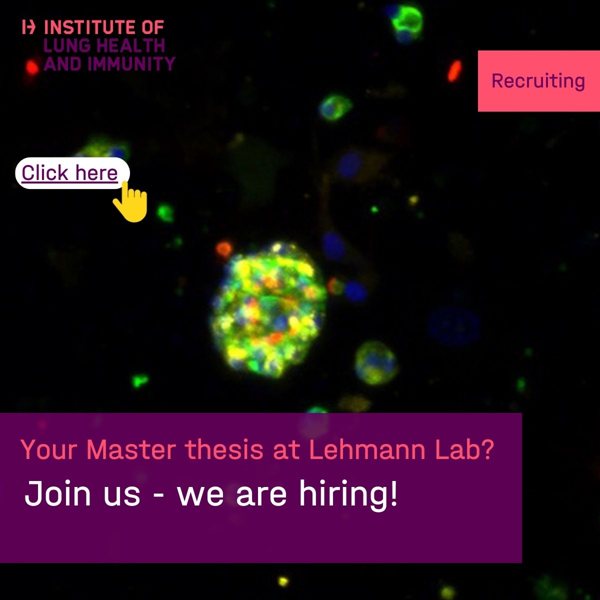 Institute of Lung Health and Immunity (@lunghealthmuc) on Twitter photo Want to do your Master- or Doctoral Thesis at the Research Group of Prof. Dr. Mareike Lehmann at the Institute of Lung Health and Immunity (<a href="/HelmholtzMunich/">Helmholtz Munich | @HelmholtzMunich</a>)? Follow this link for more information: lnkd.in/dApe3KXG Want to do your Master- or Doctoral Thesis at the Research Group of Prof. Dr. Mareike Lehmann at the Institute of Lung Health and Immunity (<a href="/HelmholtzMunich/">Helmholtz Munich | @HelmholtzMunich</a>)? Follow this link for more information: lnkd.in/dApe3KXG
