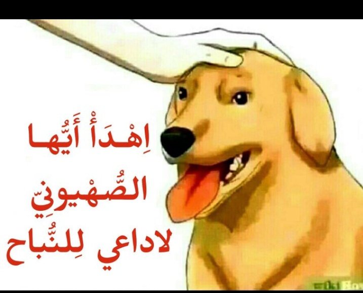 IssamKabaj's tweet photo. @RidouanOfficial @hespress كلاب إسرائيل لا تفرق بين صواب و الخطأ 👌
هذا الصهيوني لا يعترف بالصحراء المغربية أصلا. https://t.co/VFtW9G0AMy