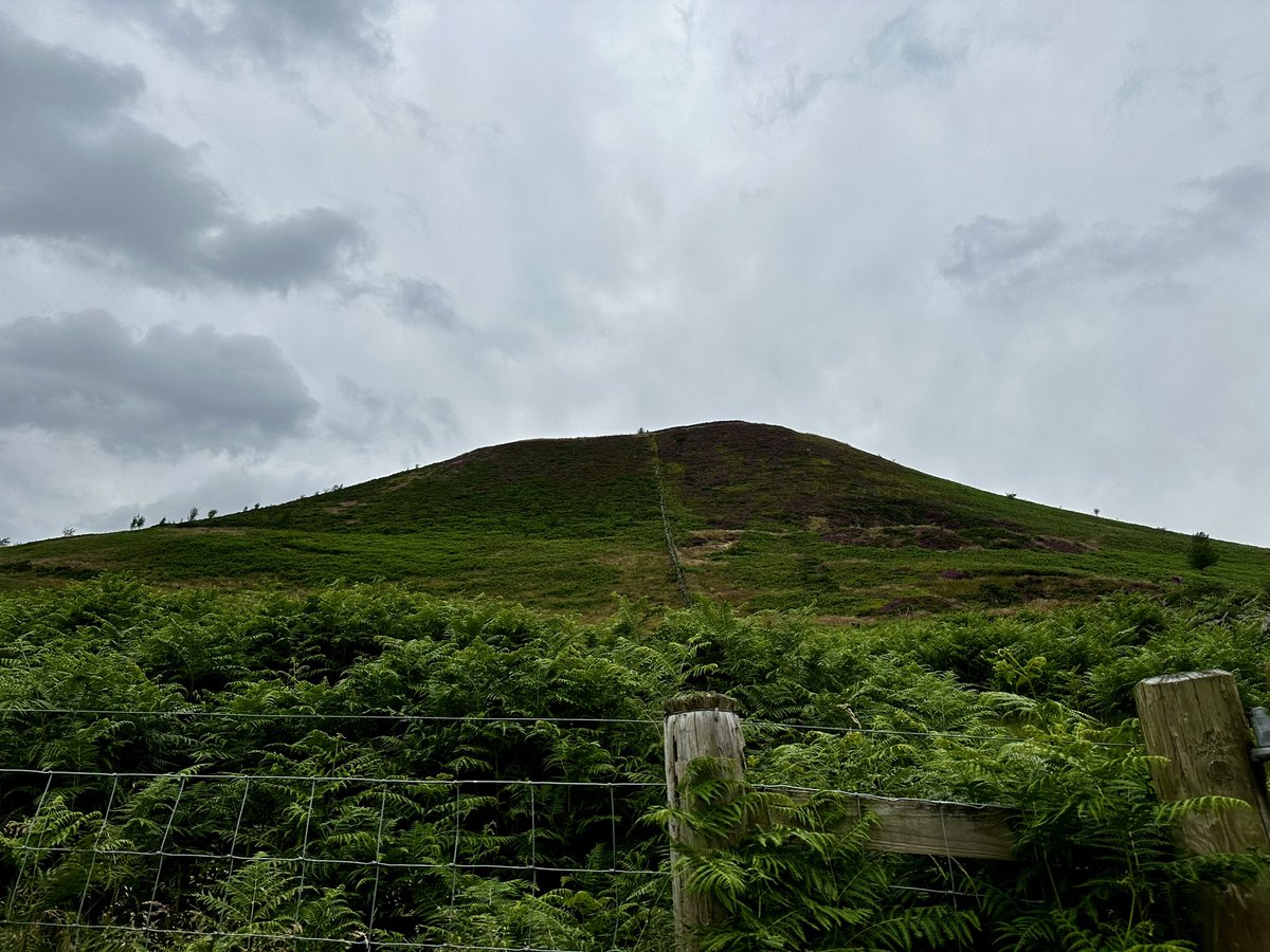 CAHS_DofE's tweet photo. And last but not least, our Gold students are out en route to campsite number 1 🏕️ #gold #expedition #practice #qualifying #britishsummer https://t.co/FzMNl6p8oQ