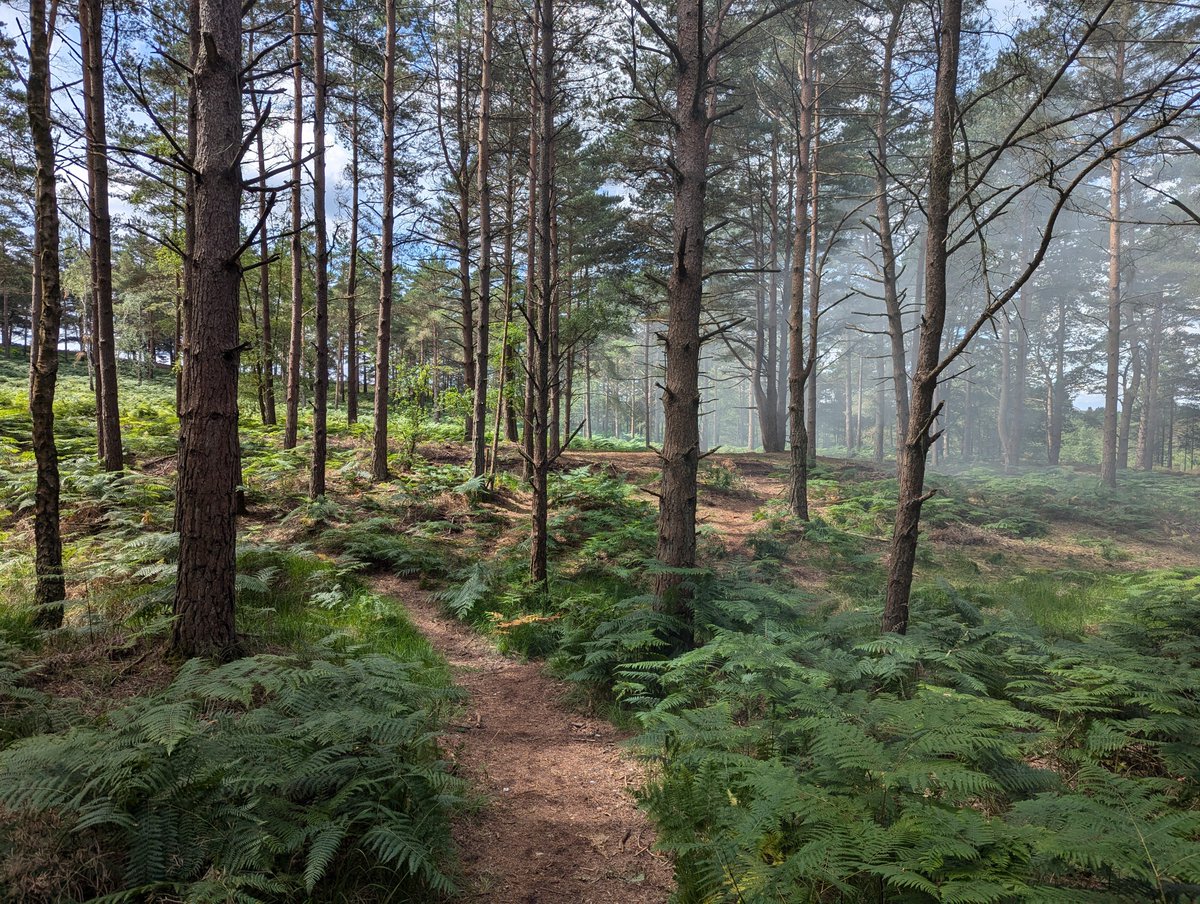 CCF at Alleyn's School tweet media