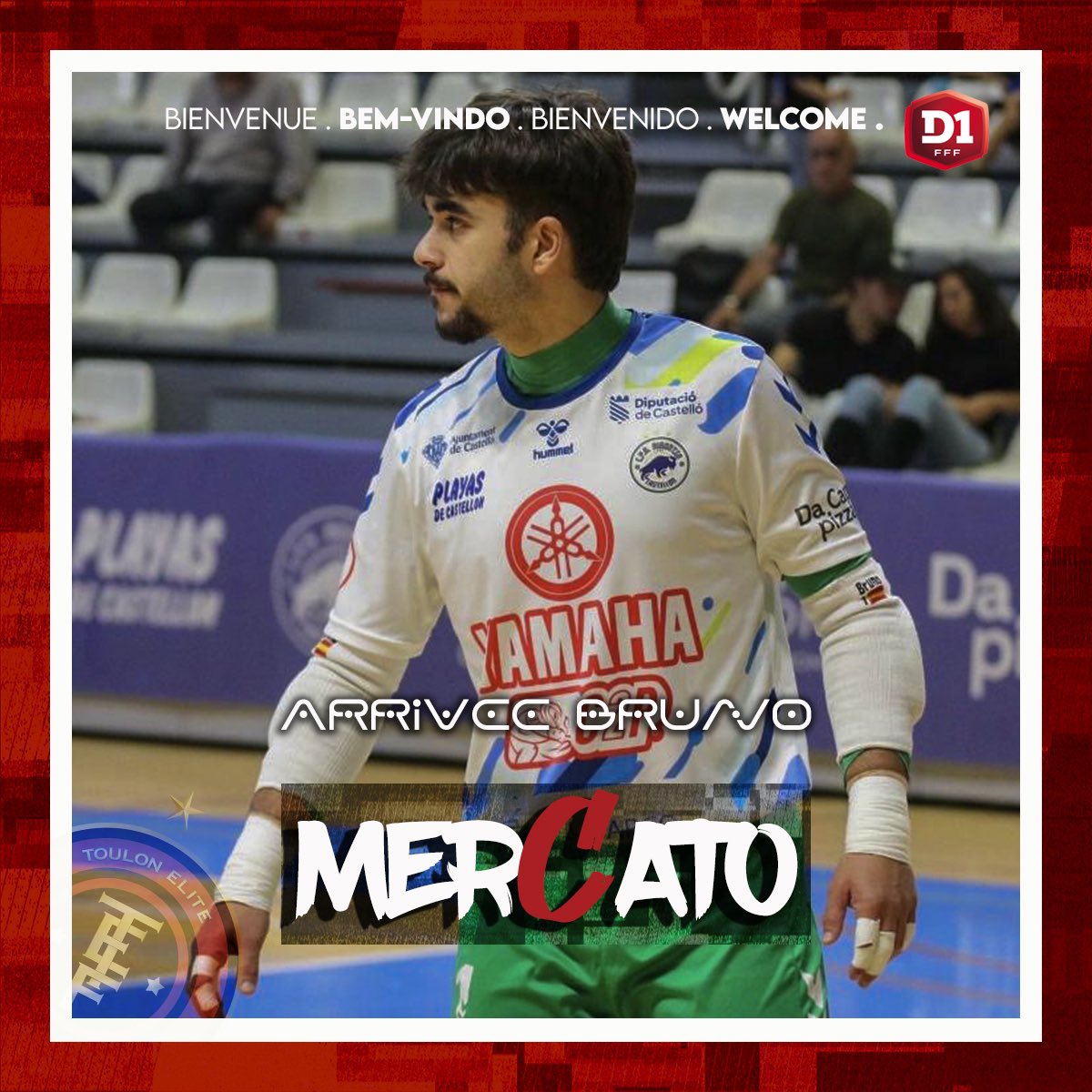 Toulon Métropole Futsal tweet media