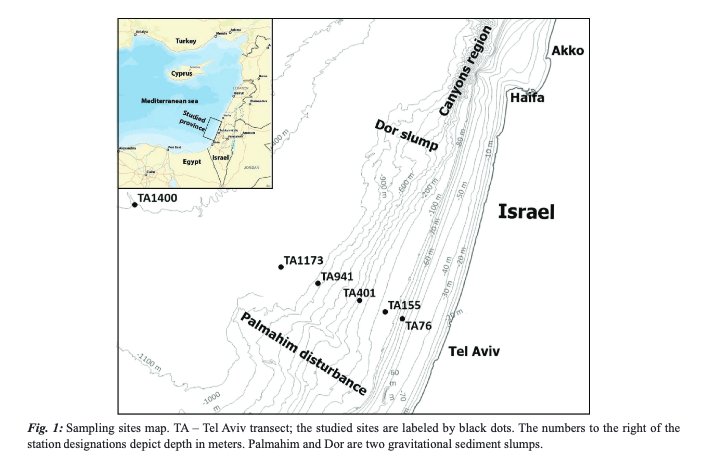 MeditMarSci's tweet photo. HARBUZOV, Z., TOM, M., DANOVARO, R., GAMBI, C., CARUGATI, L., LUBINEVSKY, H., & LAMPADARIOU, N. (2024). First checklist of free-living marine nematodes from the Israeli coast of the Mediterranean. https://t.co/SuZlD8xv1A
#marinenematodes #Mediterranean #meiofauna #LevantineBasin https://t.co/AqwMDQ3pLY