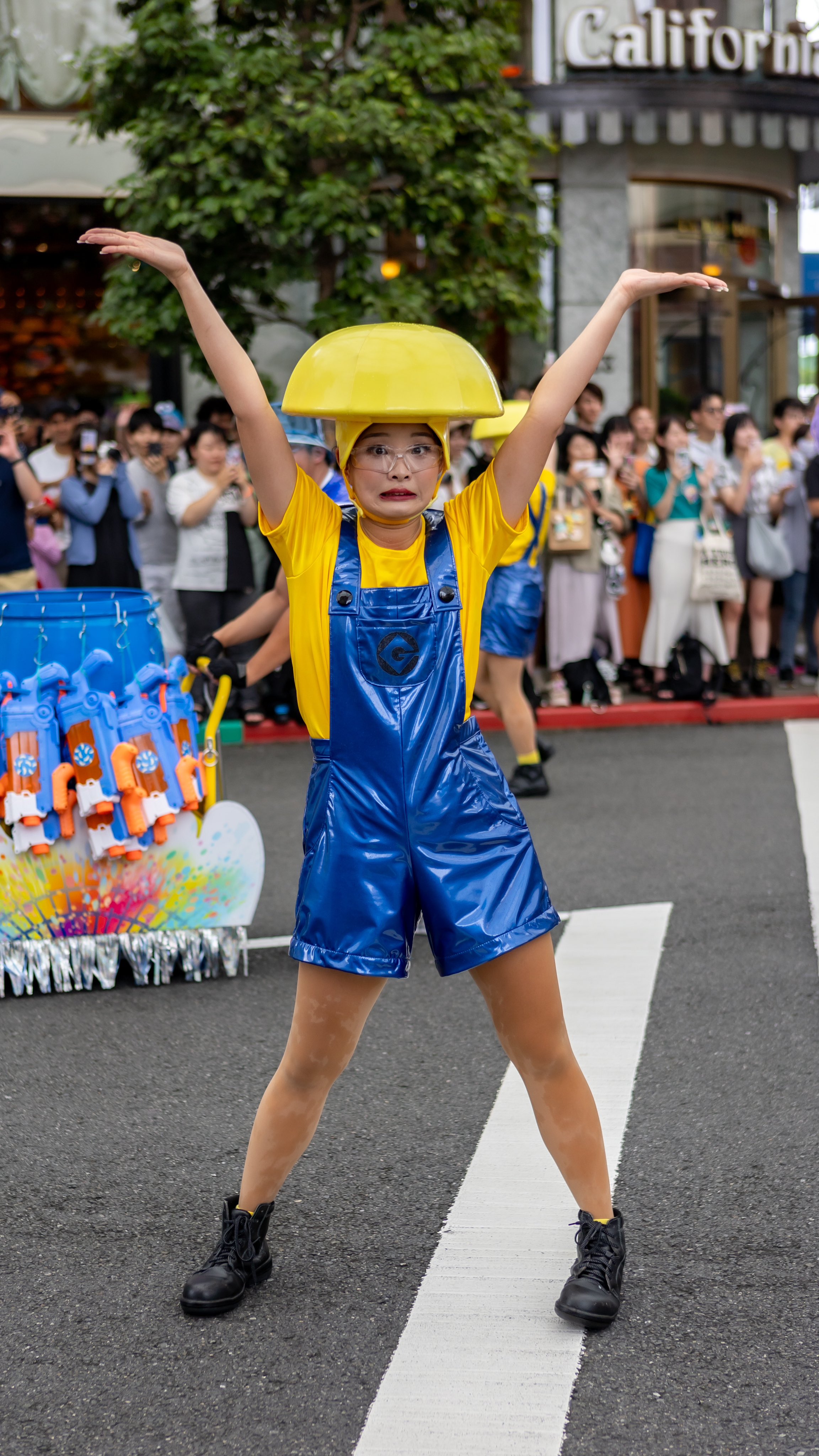 Amazon.co.jp: ユニバカ サミフェス 青ドンちゃん・葉月ちゃん