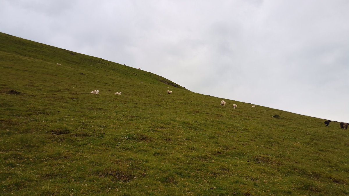 QMHSDofE's tweet photo. Gold 1 trying to get as far as possible before the poor weather hits. On the way to their 713m check point. Well done guys. https://t.co/NSIKS4U8cw