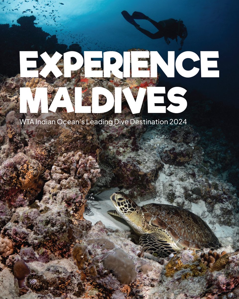 Experience the magic of the Maldives, WTA Indian Ocean's leading dive destination, and make your diving dreams a reality! 🌊🦈˚˖ 

📷: <a href="/gianluca/">Gianluca</a>.battaglia_ph

#Maldives #VisitMaldives #SunnySideofLife #IndianOceansLeadingDiveDestination2024