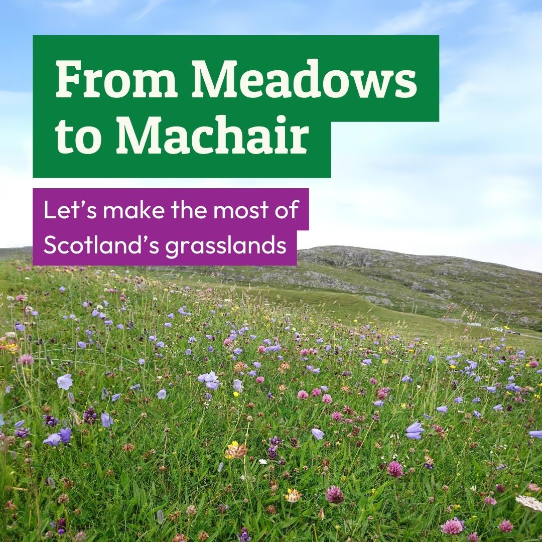 📢NEW REPORT📢
Making the Most of Scotland’s Grasslands
plantlife.org.uk/wp-content/upl…

Read about how species-rich grasslands connect Scotland’s unique biodiversity, history &amp; identity
<a href="/Floodplainmead/">Floodplain Meadows Partnership</a>  <a href="/PastureForLife/">Pasture For Life</a>