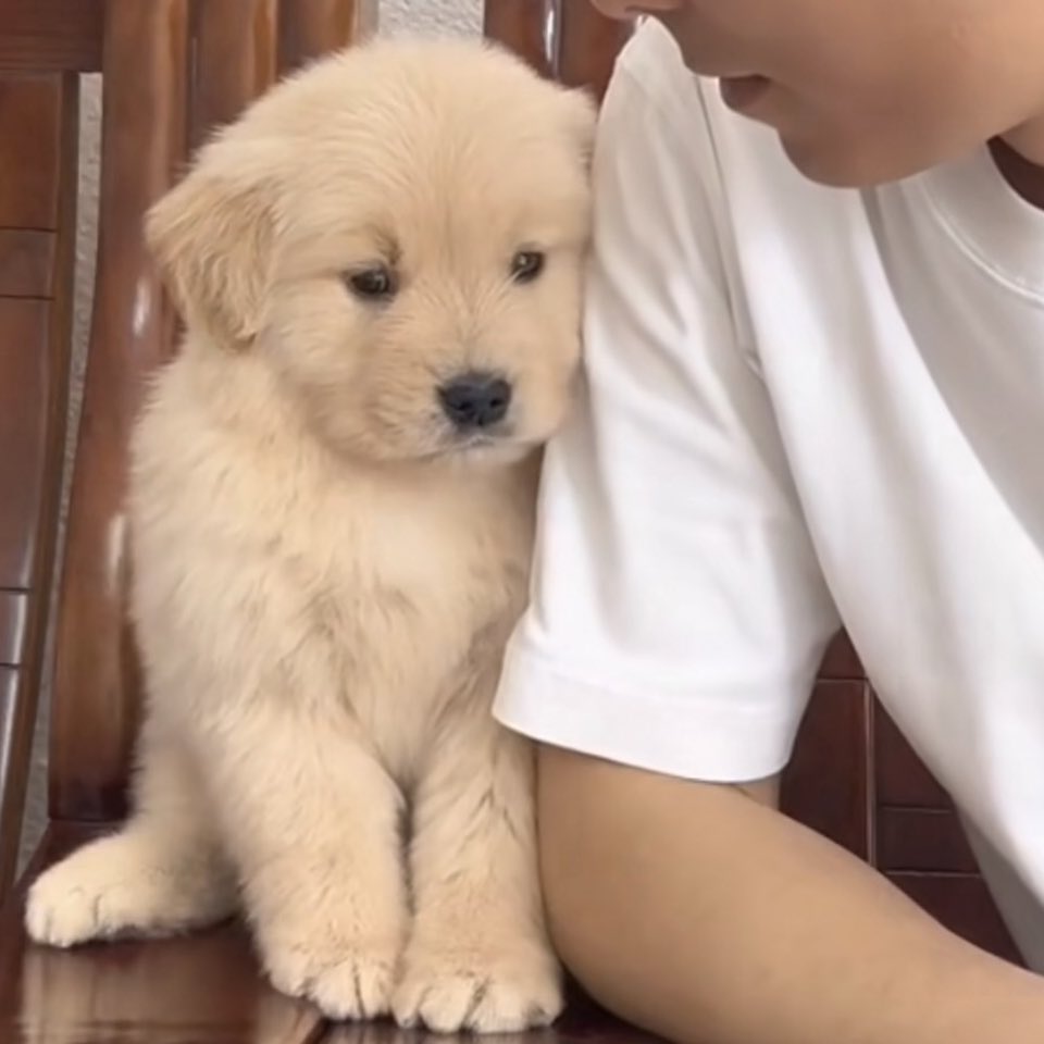 ฟังนะ เค้ารักหนุ่มตี๋ ไม่ใช่หุมุหยอง