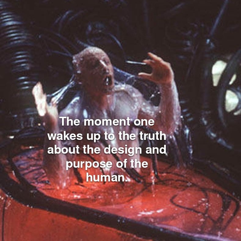 _Balleta's tweet image. 