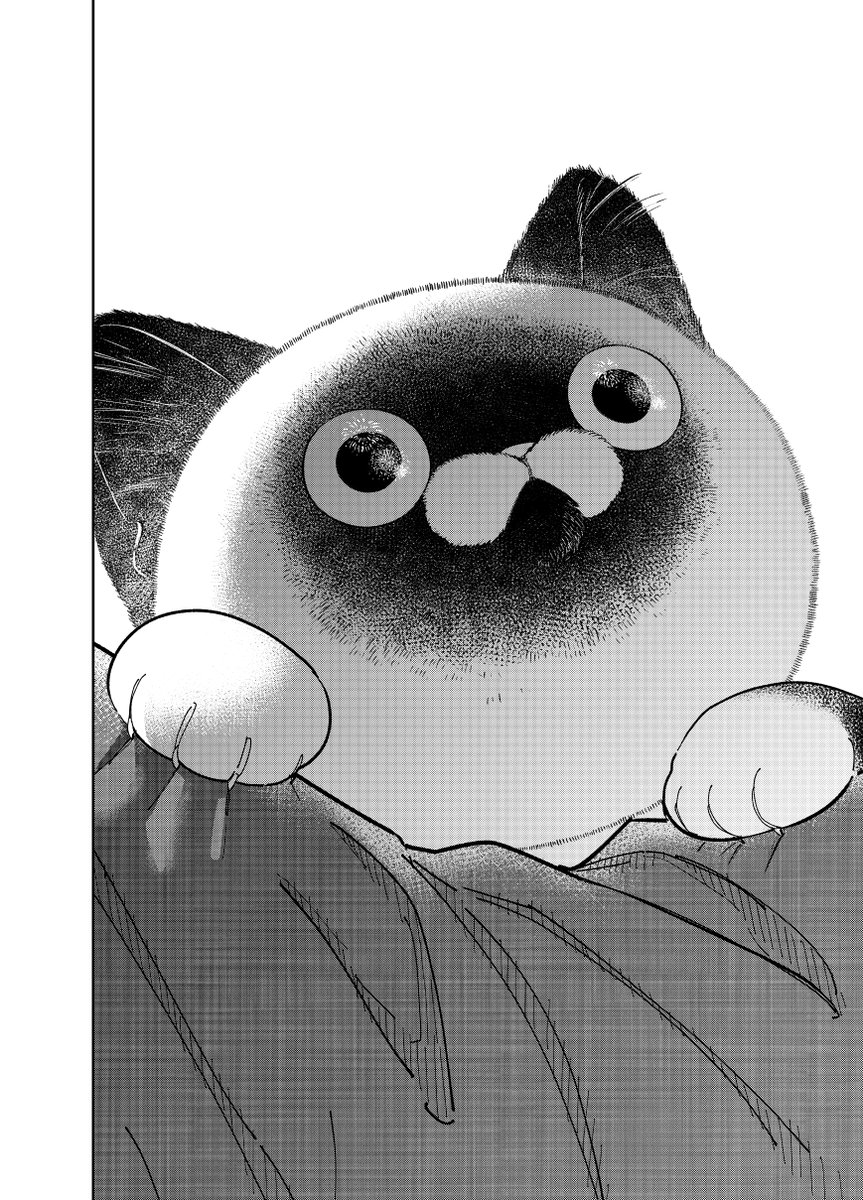 野良猫と元極道が過ごした夏の夜の話。

(3/4)

#漫画が読めるハッシュタグ
#猫にカチ込まれる暮らし 