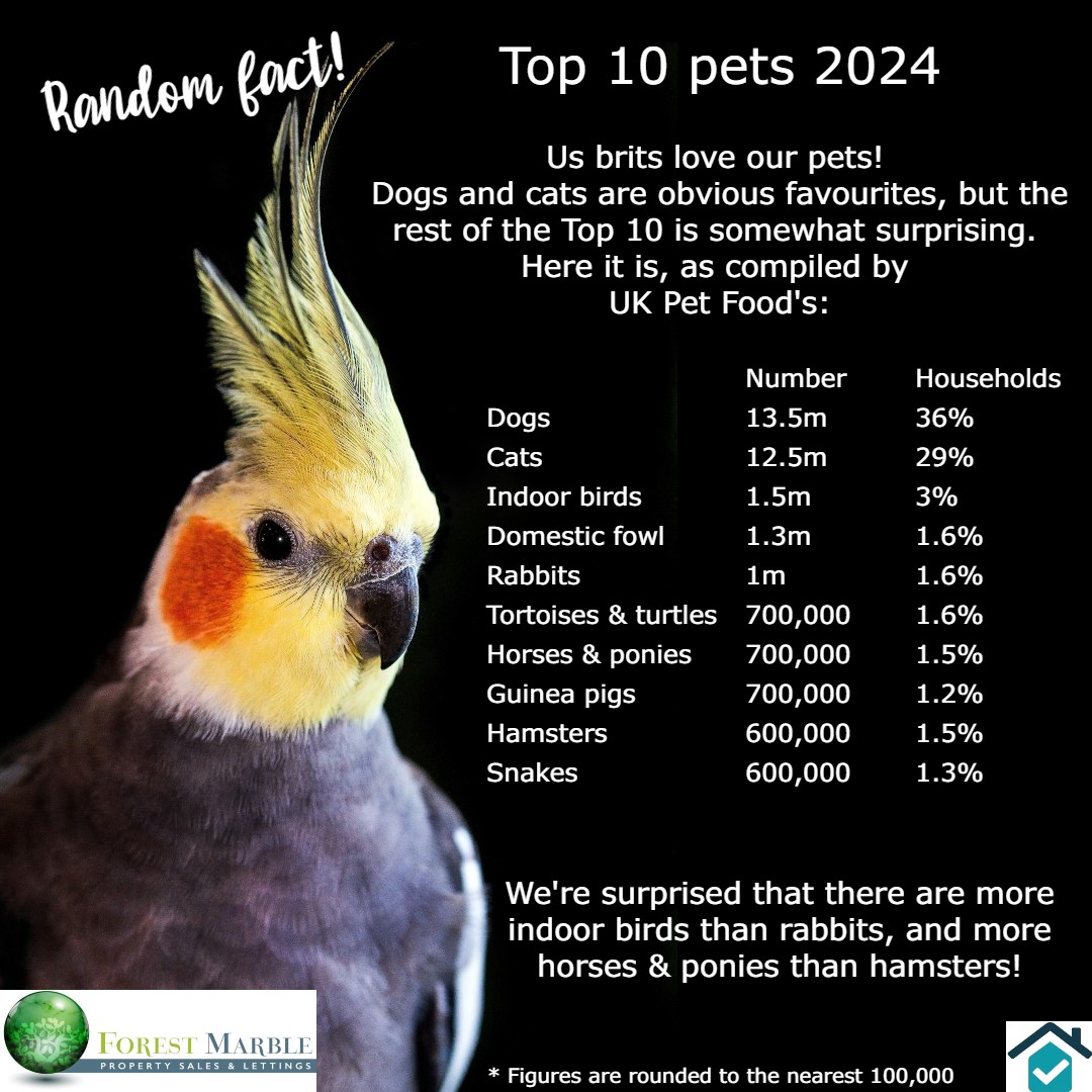 Forest Marble tweet media