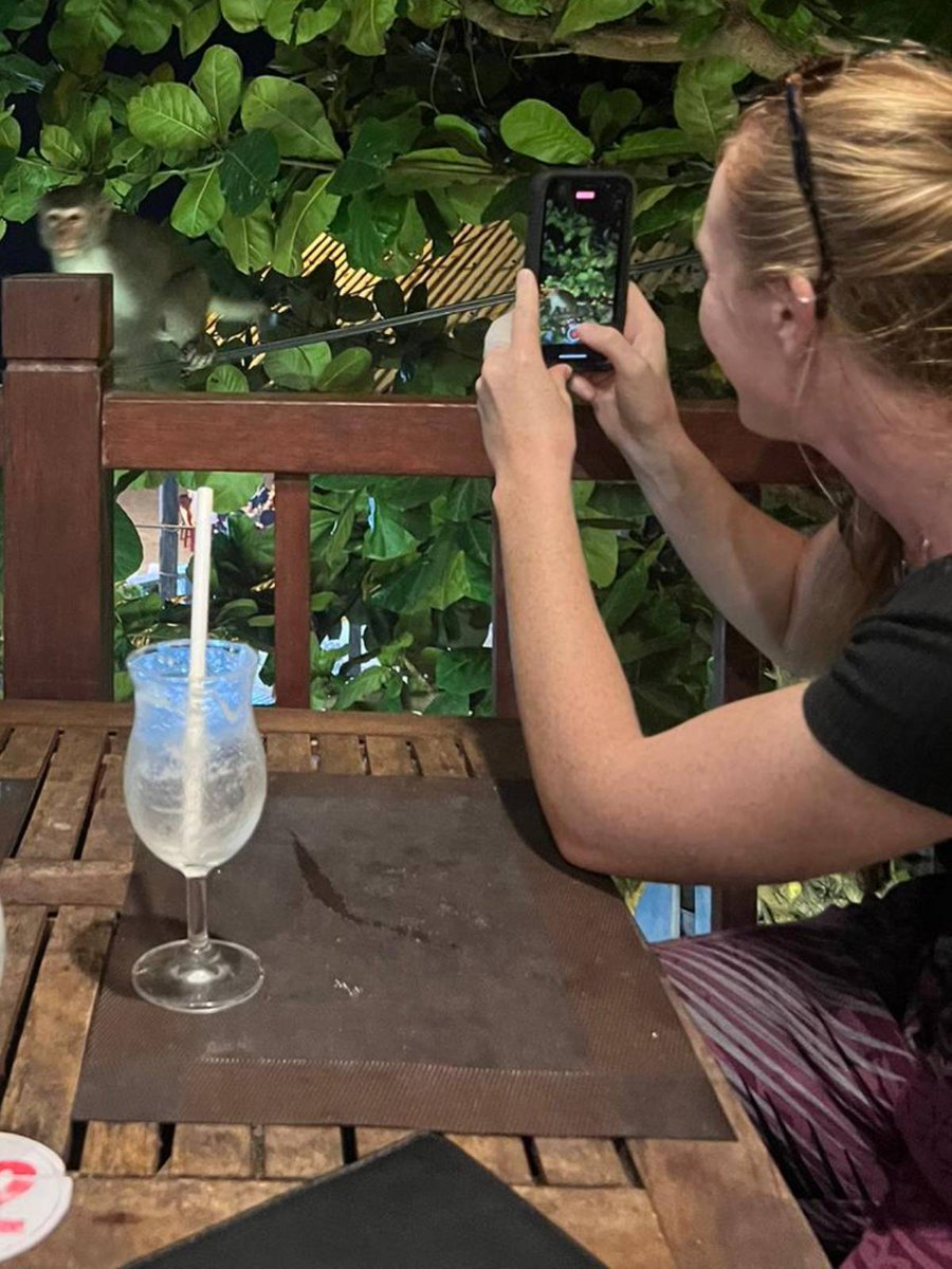 aims_gov_au's tweet image. Vietnam’s corals are much easier to snap than its cheeky monkeys, especially when using our #ReefScan and #ReefCloud data collection technology. With Institute of Oceanography &amp;amp; @ausgov we’re building capabilities to inform sustainable management of these precious ecosystems.
