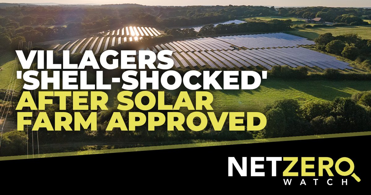 Net Zero Watch tweet media