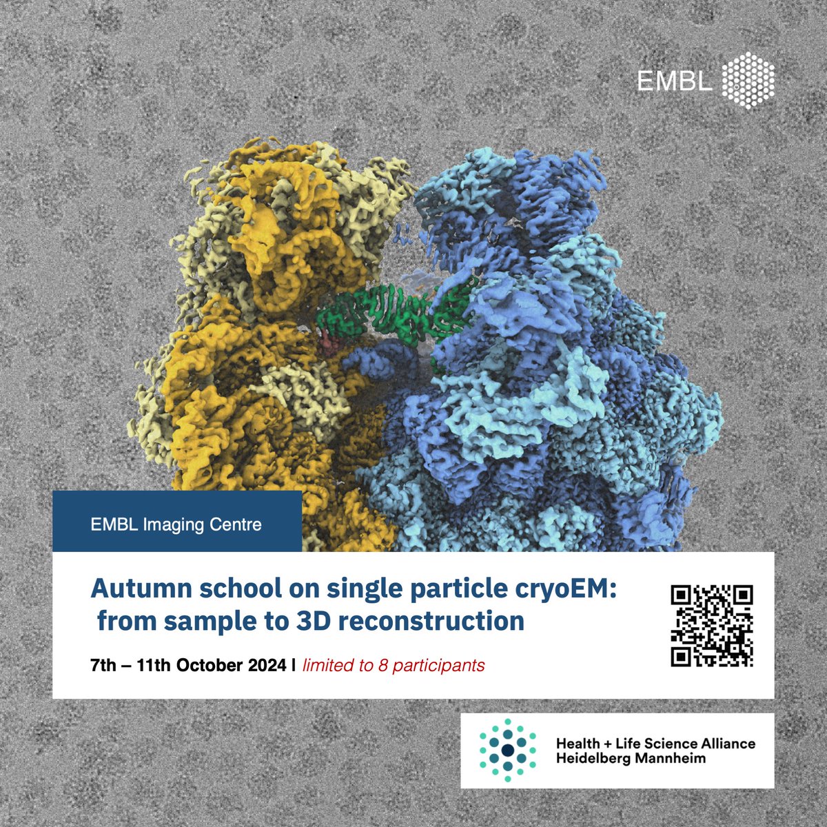 EmblImaging's tweet photo. 1/3

📣 Apply now on: @EMBL Imaging Centre Autum School on Single Particle #CryoEM: from Sample to 3D Reconstruction. This event is limited to 8 participants only. Book your place now!

Visit the homepage for more details and to register here:
https://t.co/btJG527cmO https://t.co/feHJUJUZbB