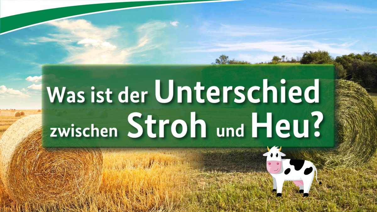 BZL_aktuell's tweet photo. Was ist der Unterschied zwischen #Stroh und #Heu? Die Begriffe werden oft Synonym verwendet, bezeichnen aber ganz unterschiedliche Dinge. Finde heraus, worin der Unterschied besteht.
➡ https://t.co/iC1jVX8FVk
#Landwirtschaft https://t.co/h1T2TEDxyb