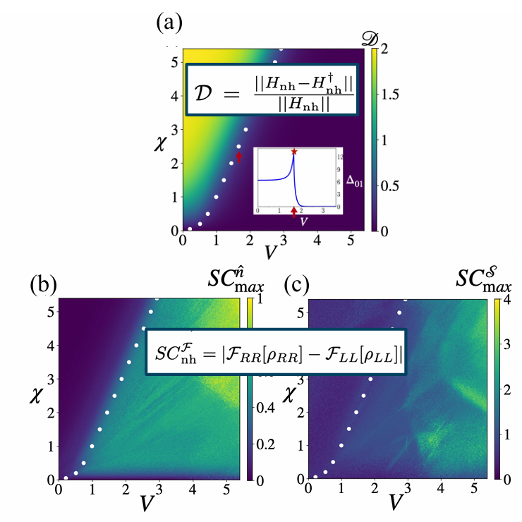 How much does the non-Hermiticity of the Hamiltonian get translated to the behavior of single and many-particle quantum properties of the system? 
We tried to find an answer to this in our recent article:  arXiv:2406.13517