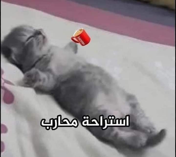أنا بعد ما معملتش أي حاجه في يومي أصلاً :