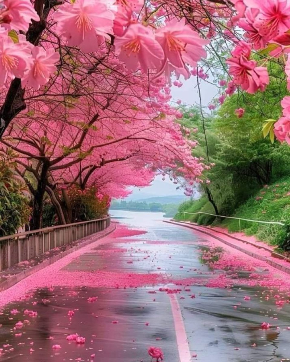 Love as if it were a path of no return,...Come back if it was a path without love.🩷

#HappyNewWeek 🌸🍃🌸🍃