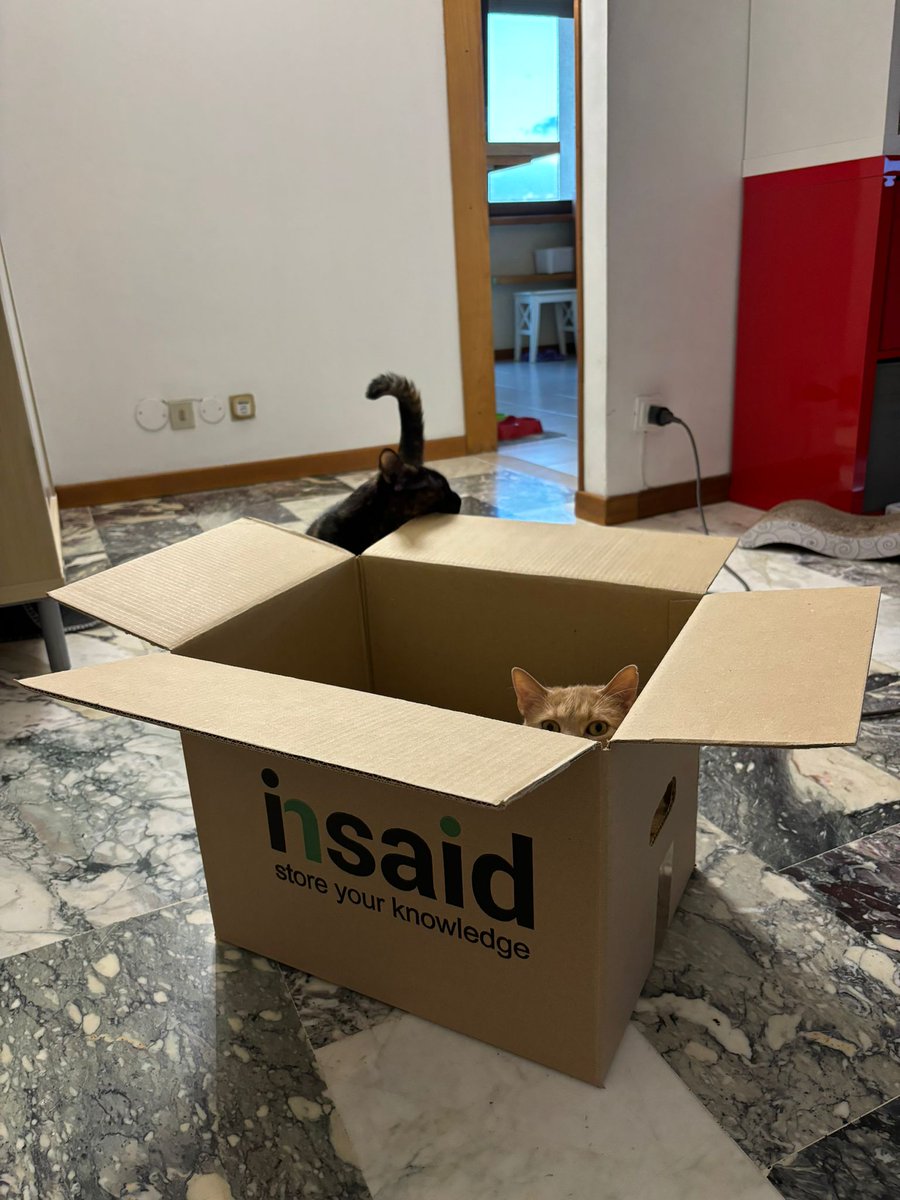INSAID_To's tweet photo. Impara dai migliori influencer! 
Trova il tuo spazio perfetto con Insaid.
Clicca qui: https://t.co/Mbr42UzOLU
#catlover #catsoftwiter #gatti #gatto #bestfriends #petlover #CatComfort #GattiCuriosi #Torino #archiviazionefisica #depositi #archiviazione #insaid #gestionedocumentale https://t.co/jU0OQNACWc