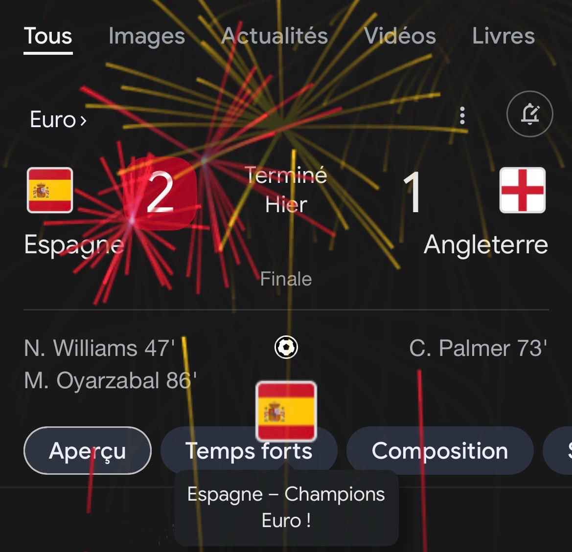 Meilleur effet Google 😌🇪🇸🥇#Eurocopa2024 #España
