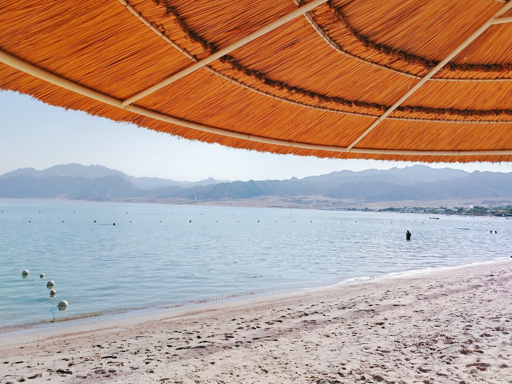 اشتريت دماغي بكره اشتري جزيره ✨👑