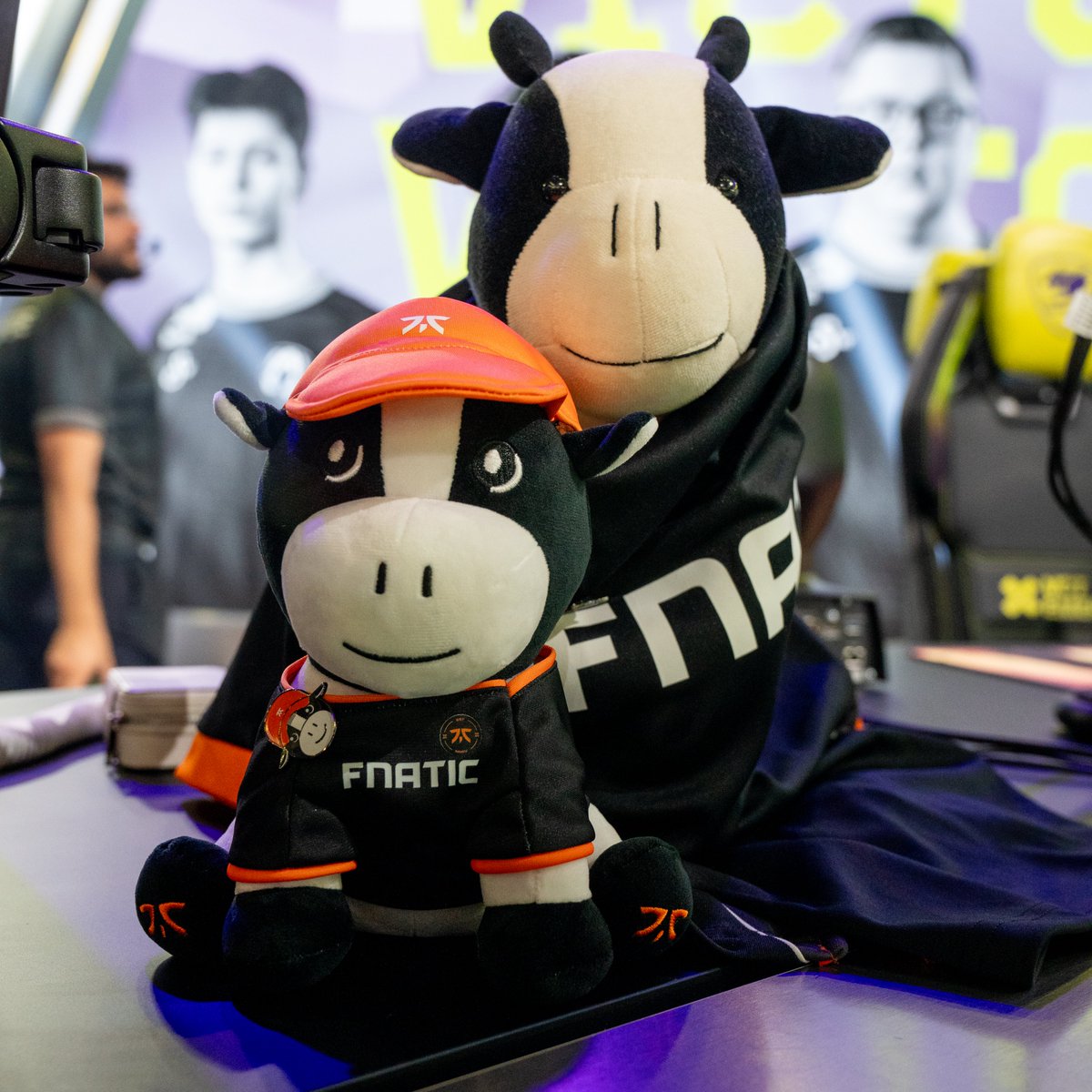 FnaticValorant's tweet photo. moooo! https://t.co/z4MIvnZG4t