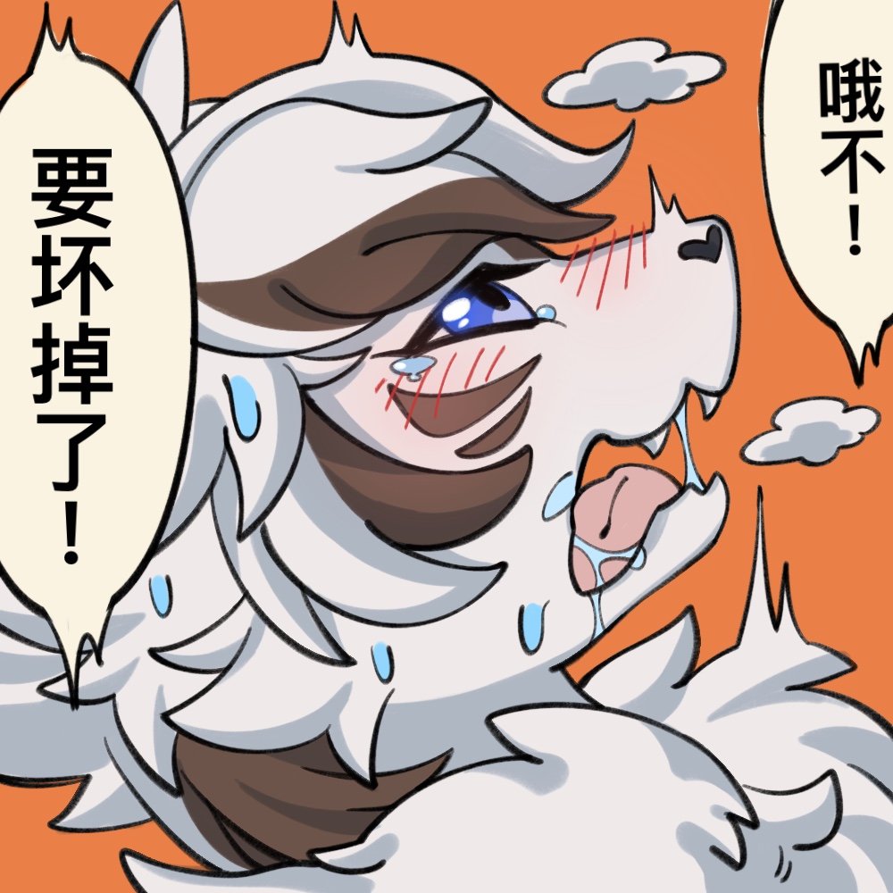 コザキ tweet media