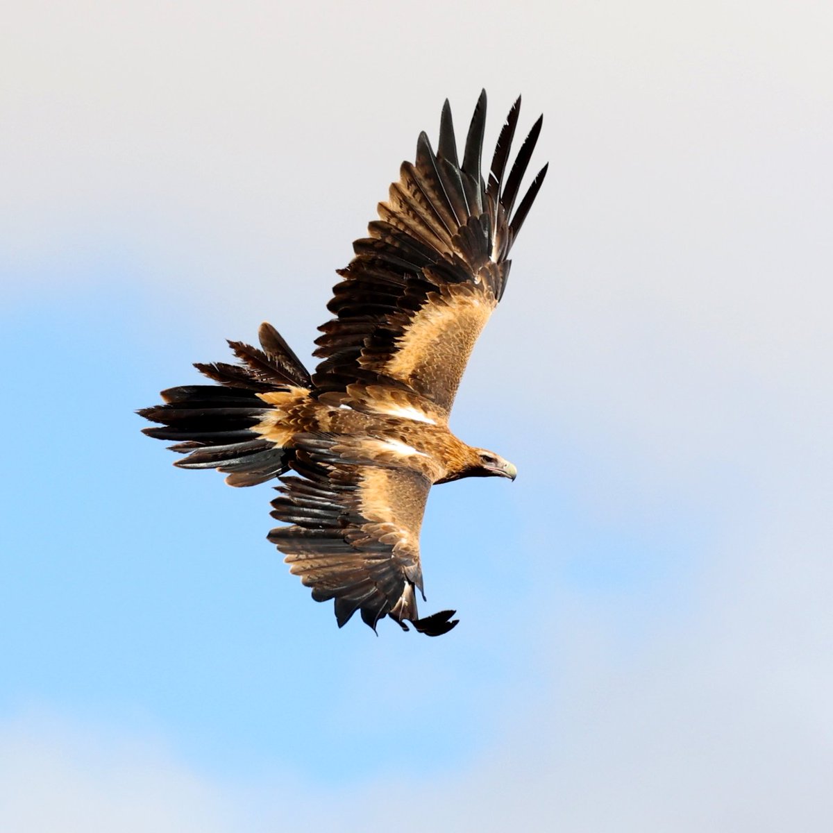 Sandy Horne tweet media