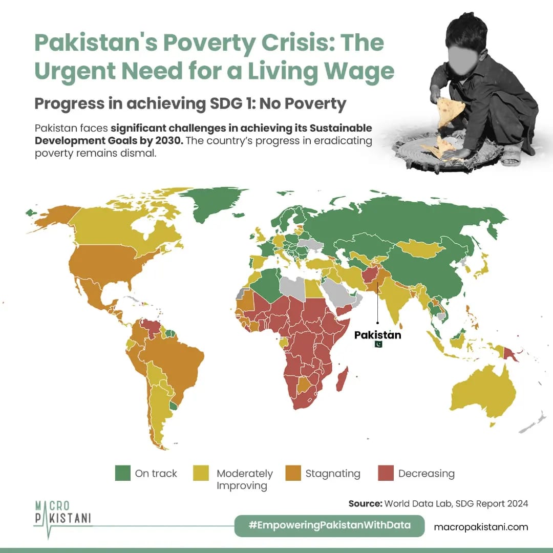 Macro Pakistani tweet media