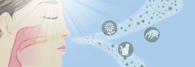 jimmunoallerg's tweet photo. Allergic rhinitis is an allergic reaction to tiny particles in the air called allergens. When patient breathe in allergens through the nose or mouth, the body reacts by releasing a natural chemical called histamine.
#Allergic #rhinitis #fever #nonallergic #common #irritation https://t.co/KXXYTwhqfS