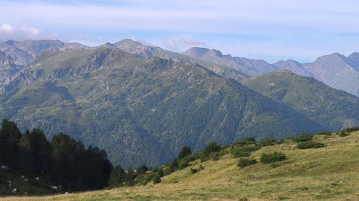 Interbev tweet media