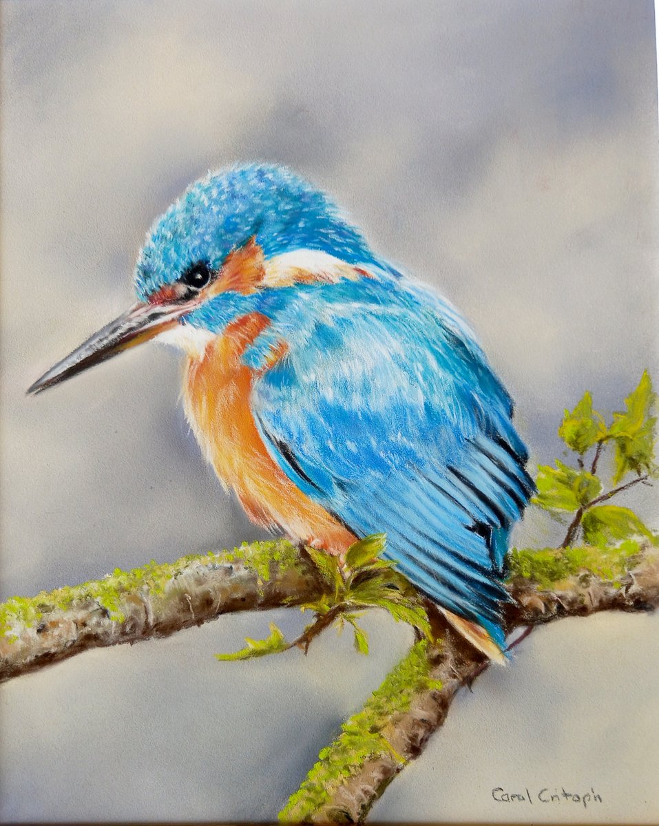 southwold_art's tweet photo. We have these beautiful original pastels from Carol Critoph, bring some wildlife into your home. #originalpastelart #wildlifeart #artistictalent #natureinart #artisticbeauty #madeinsuffolk #localartist #suffolkgalleries #inspirationalsuffolk https://t.co/8wAARiguwS