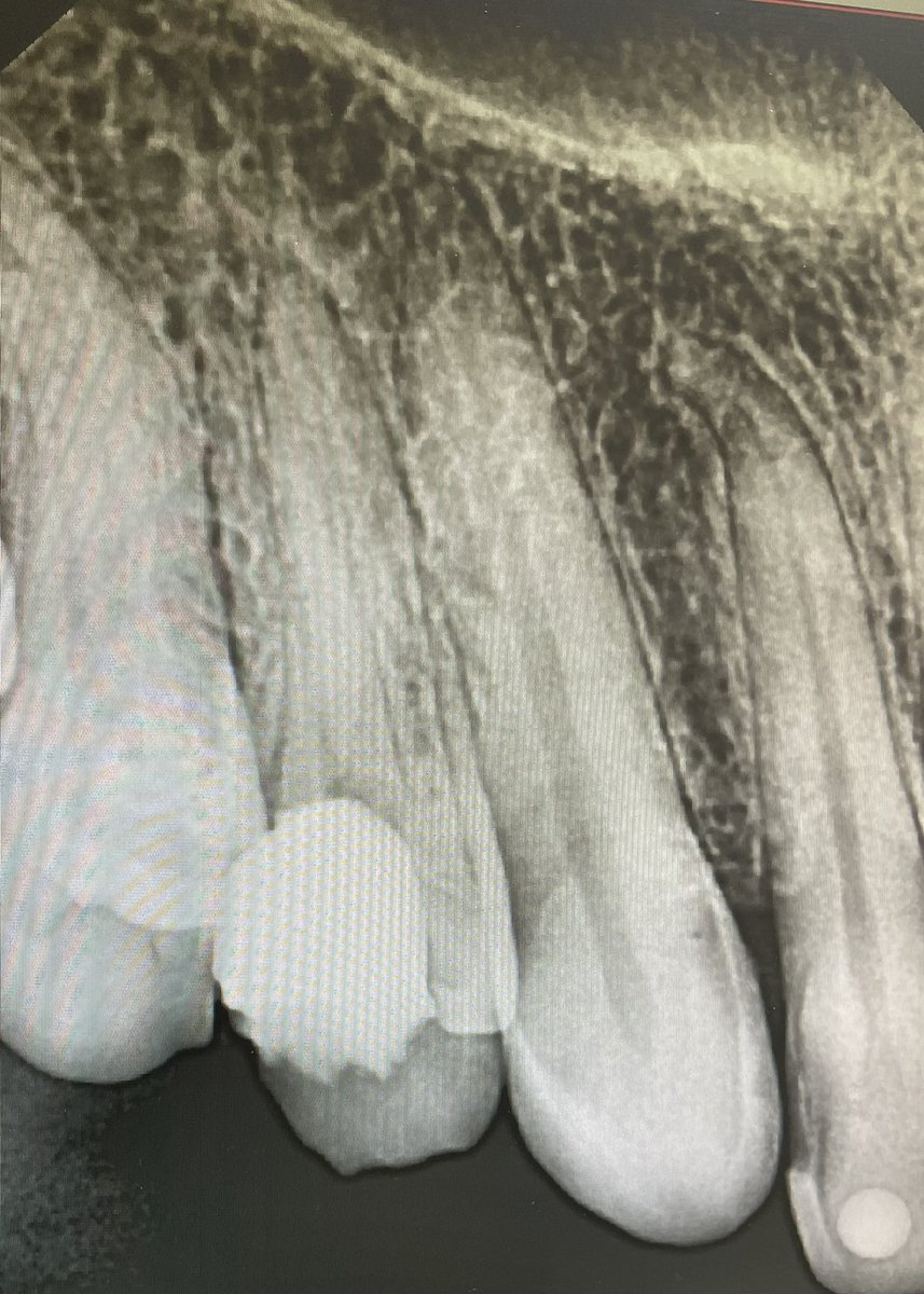 Motaz Almaghraby tweet media